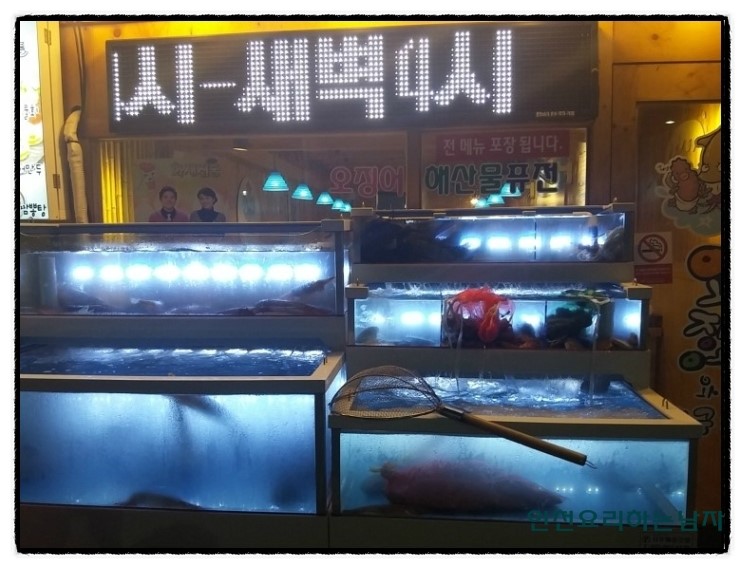 오징어와친구들 이미지
