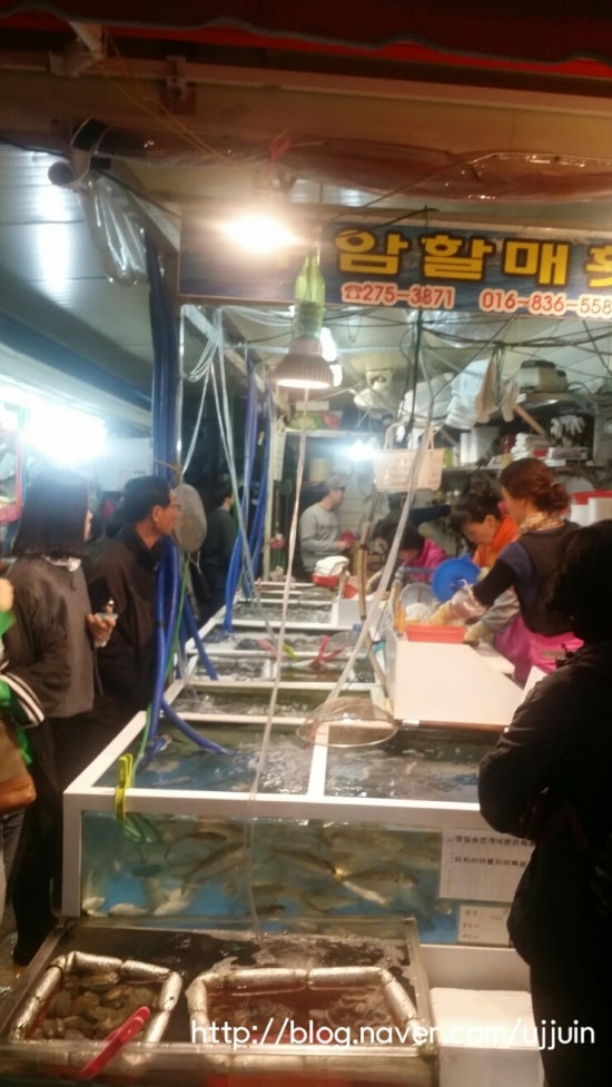 수암할매횟집 이미지