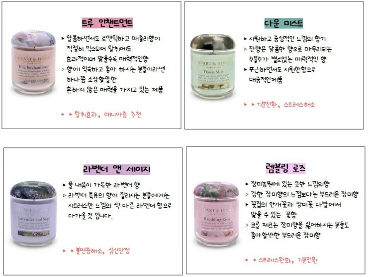 캔들나무 이미지