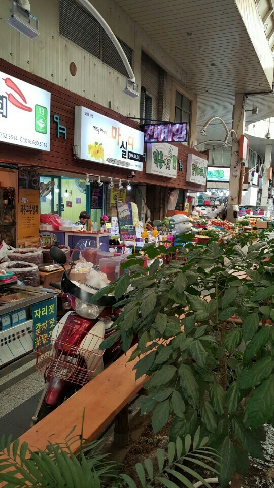 마실디 이미지