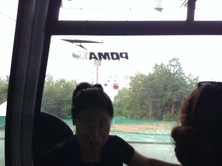 돌산아나고 이미지