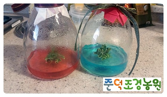 배양팜농원 이미지