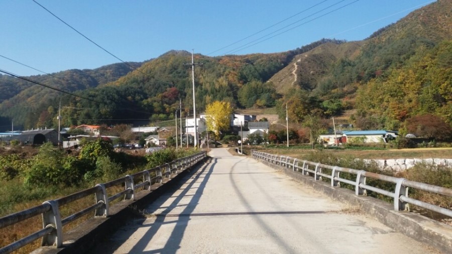 숲속의정원 이미지