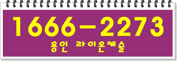 라이온캐슬 이미지