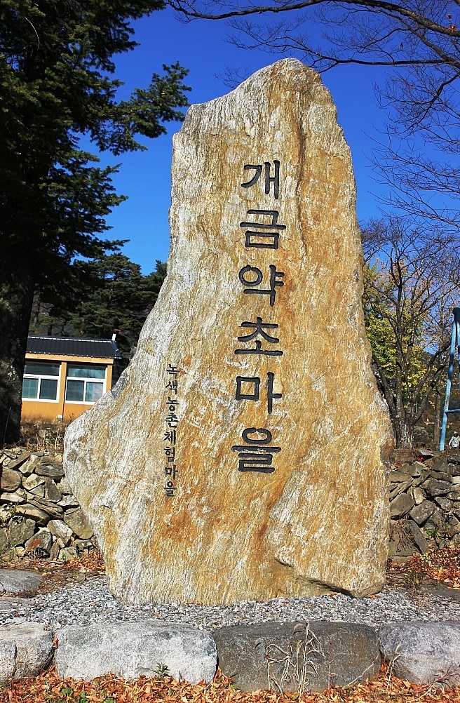 개금약초 이미지