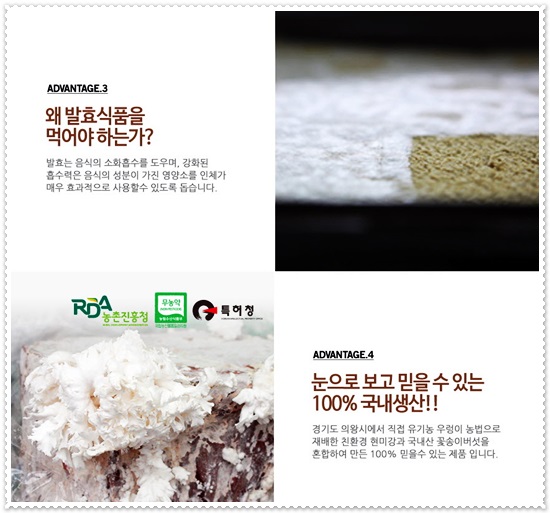 정직한버섯 이미지