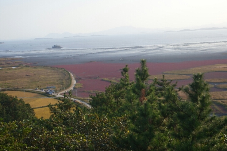 삼성여행사 이미지