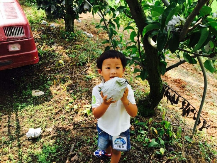 예꿈어린이집 이미지