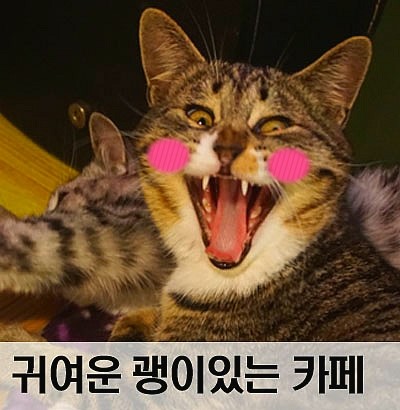마두령까페 이미지
