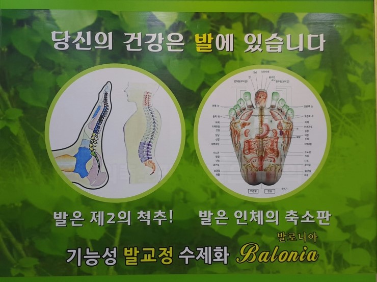 발로니아 이미지