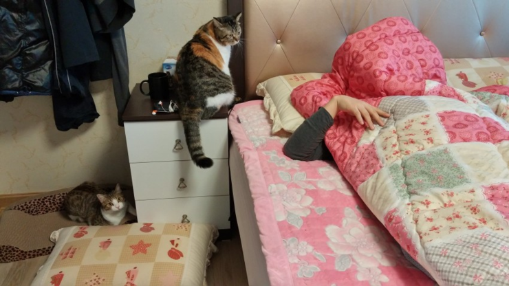 마이수리 이미지