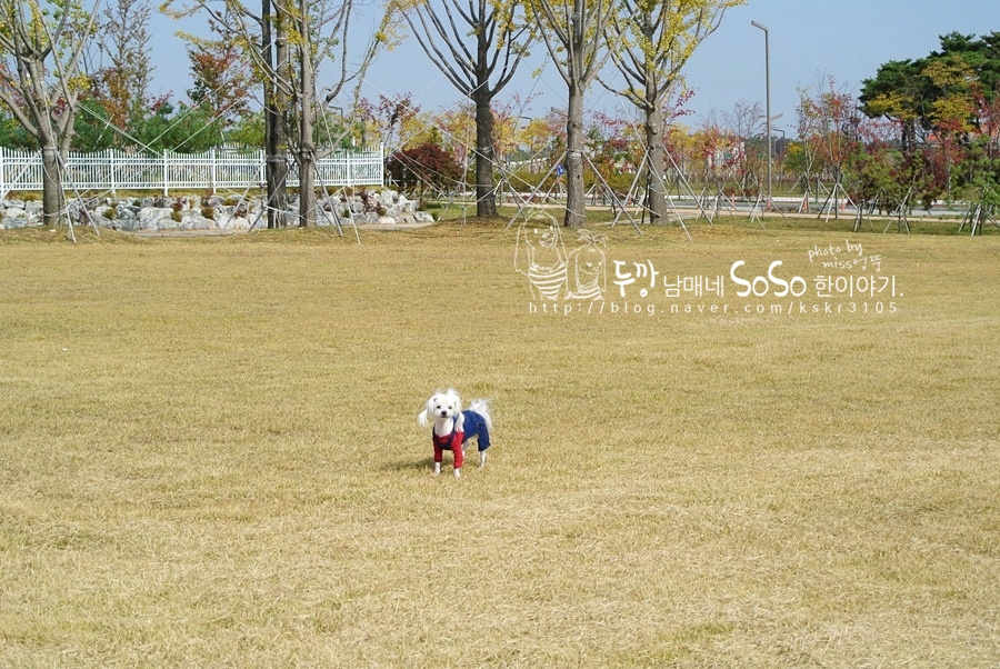 새아지트 이미지