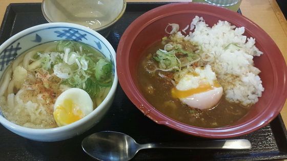 타마우동 이미지