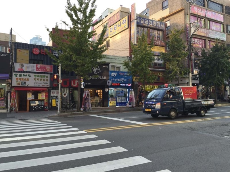 새로이여행사 이미지