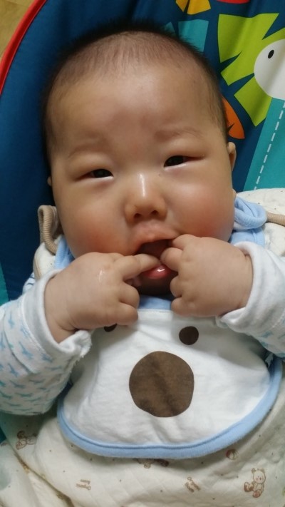 집돌이맘 이미지