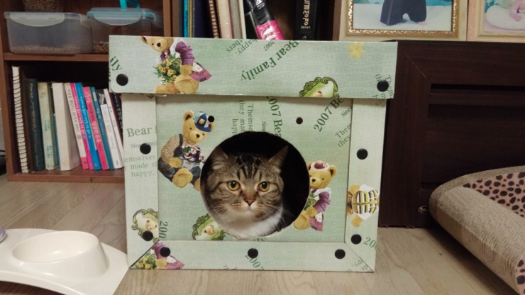 마이수리 이미지
