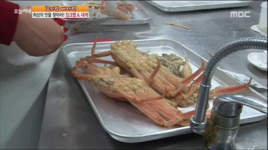 대게나라 이미지