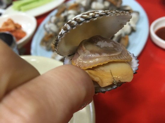 사랑방마차 이미지