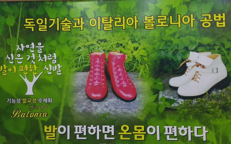 발로니아 이미지