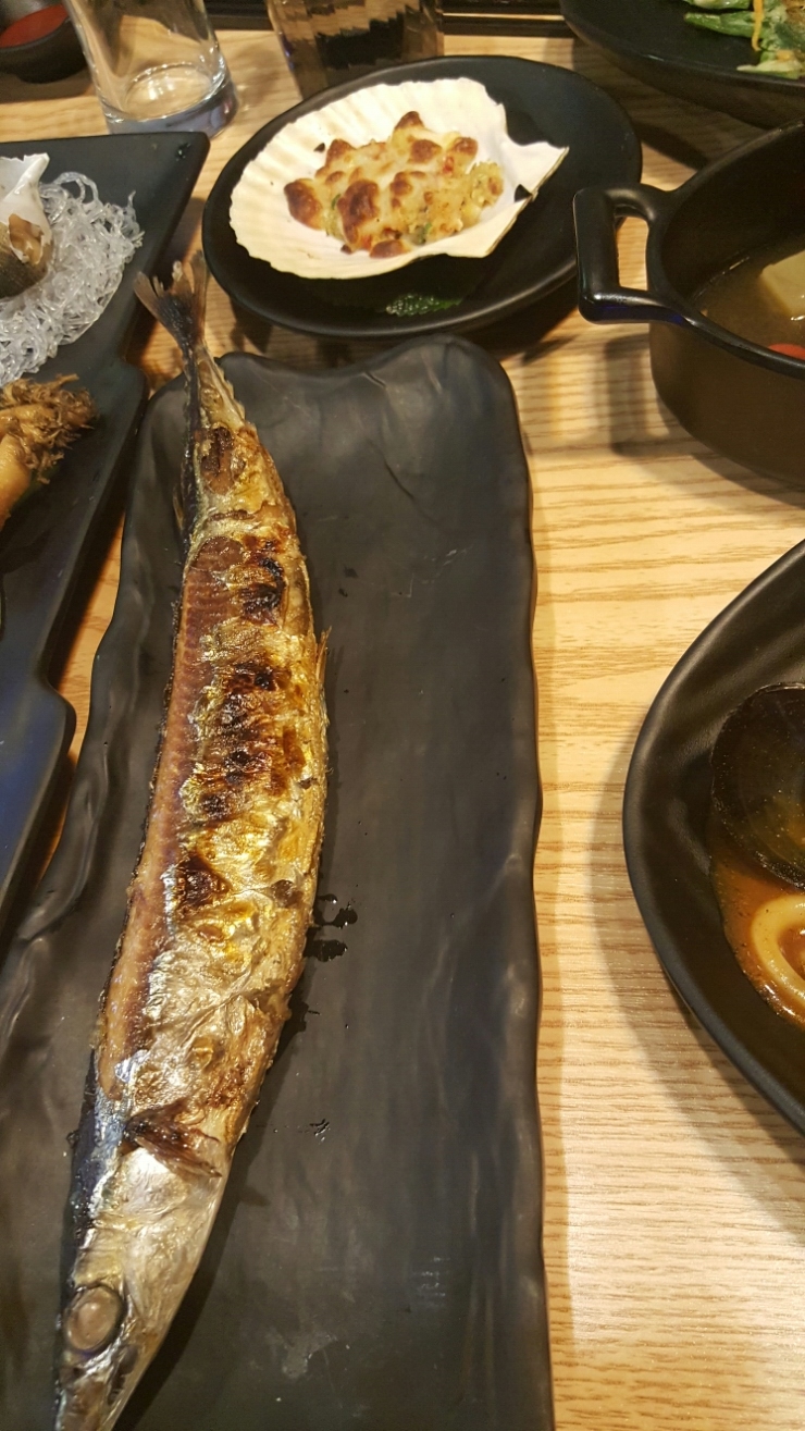 오징어연가 이미지