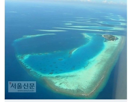 태지상사 이미지