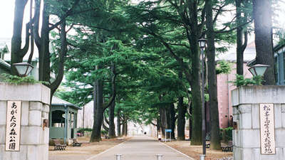 동글이텔레콤 이미지