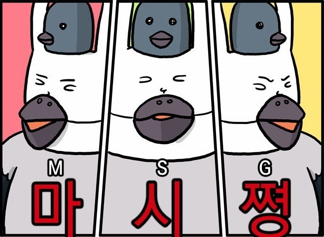 커피베리 이미지