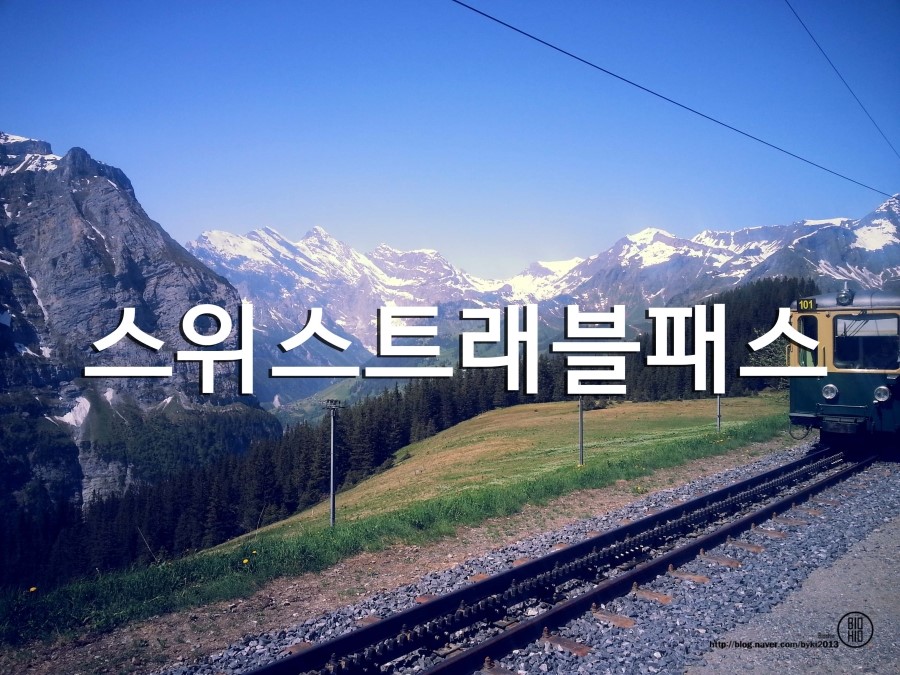 (주)트래블패스 이미지