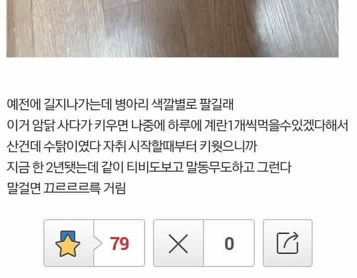 후르츠서울 이미지