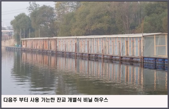 잔교하우스 이미지