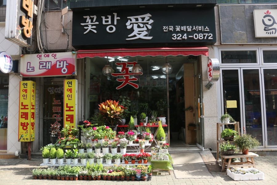 꽃방愛 이미지