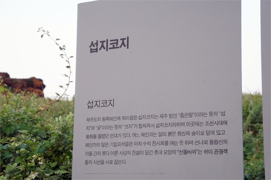 시원한바람 이미지