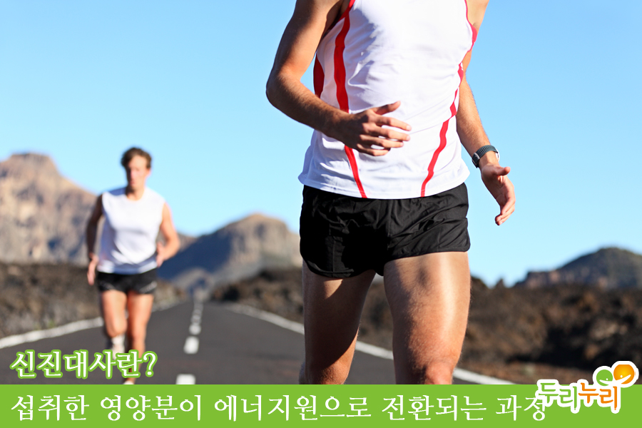 (주)두리식품 이미지
