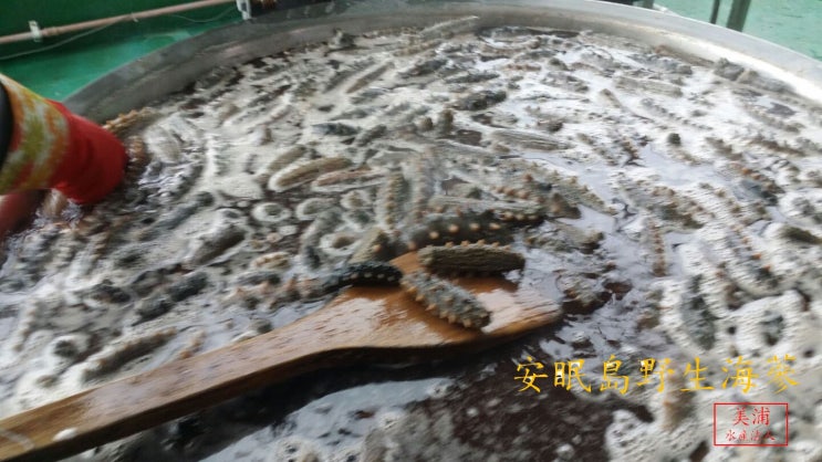 미포영어조합법인 이미지