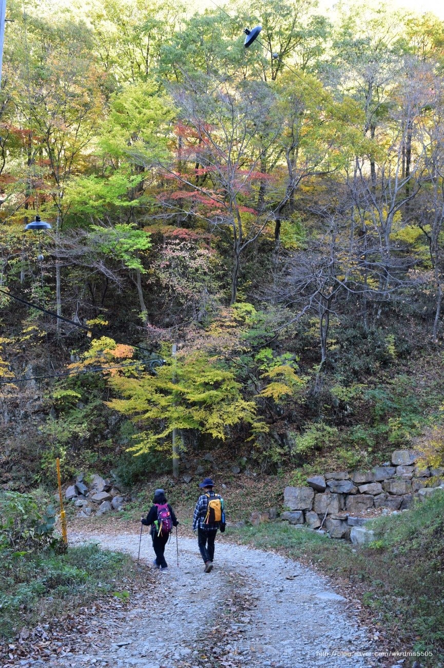 주홍민박 이미지
