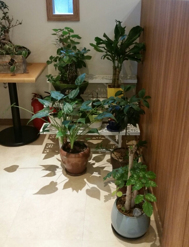 준커피로스터 이미지