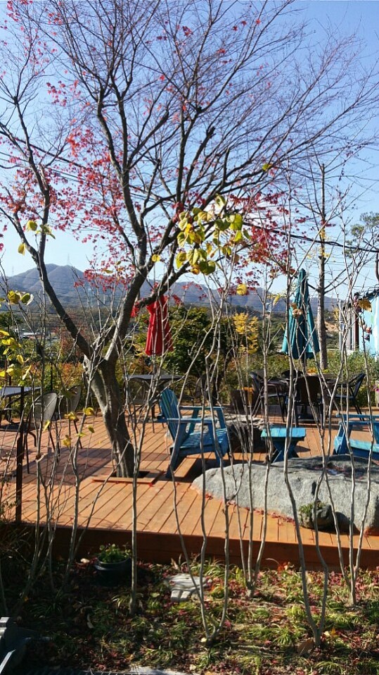 카페쓰리랑 이미지