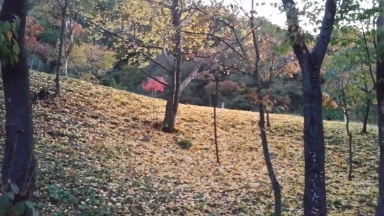 고마또래 이미지