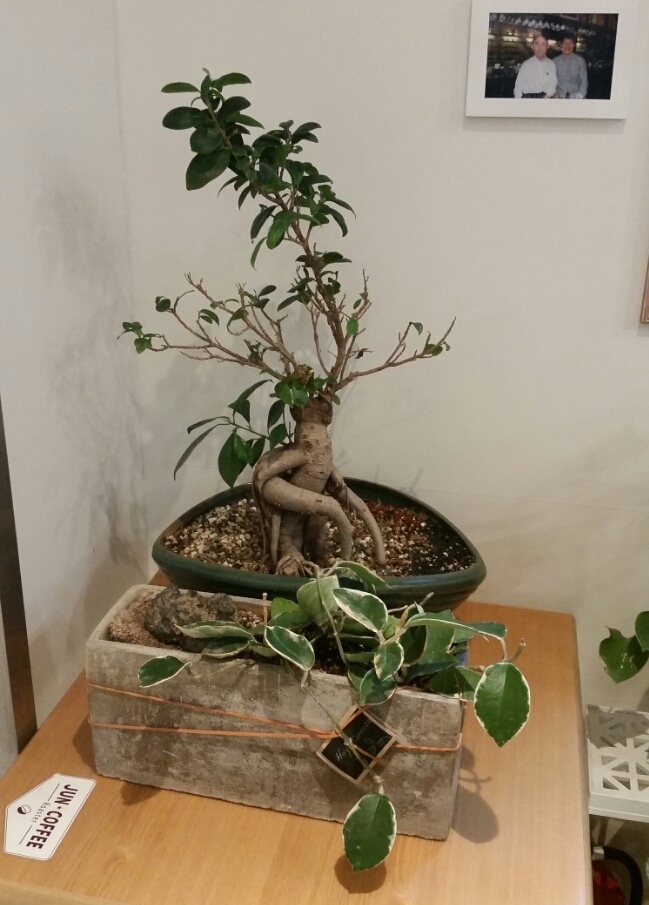 준커피로스터 이미지