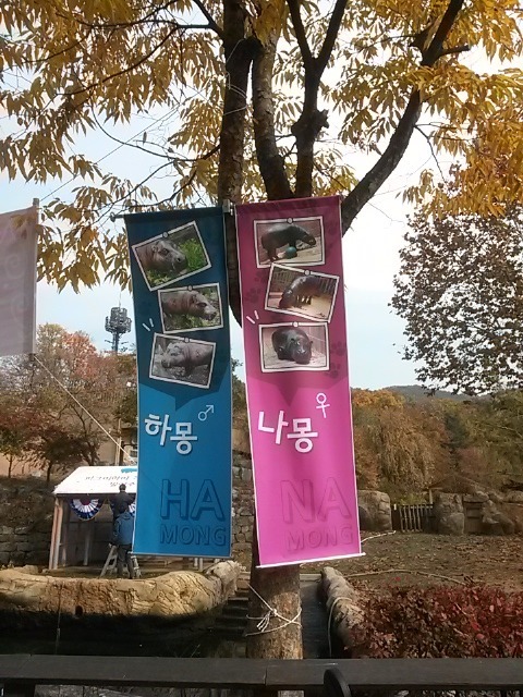 나몽 이미지
