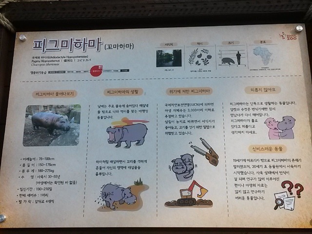 나몽 이미지