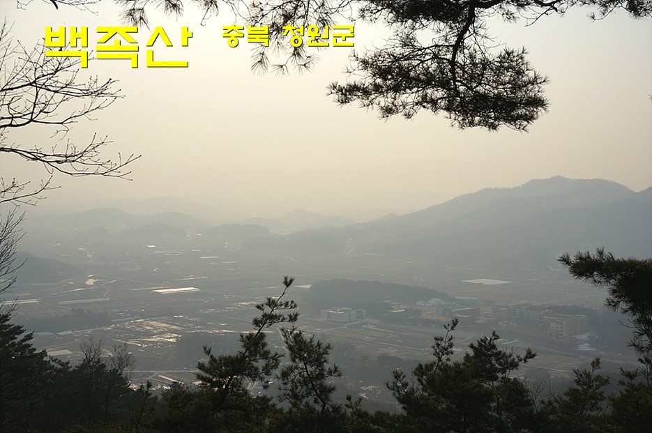 백조사 이미지