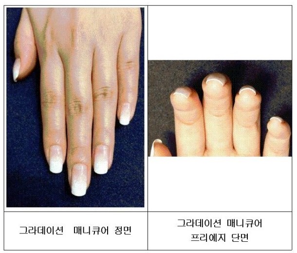 에르모소뷰티직업전문학교 이미지
