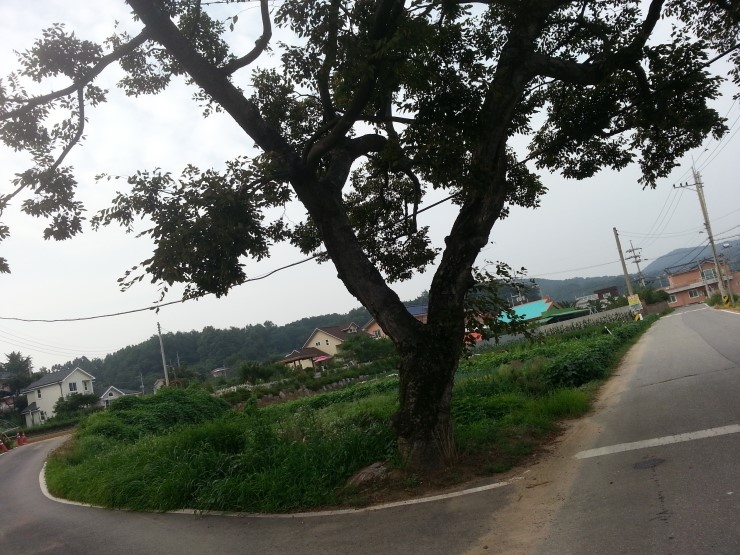 백운산등산로5코스 이미지