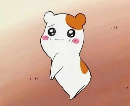 동양썬팅 이미지