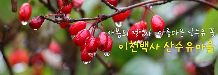 이천백사산수유영농조합 이미지