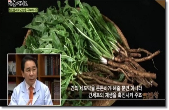 토종흰민들레식품 이미지