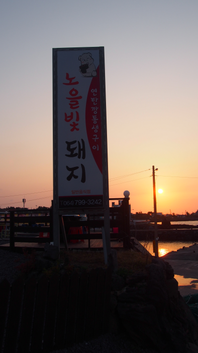 노을빛돼지 이미지