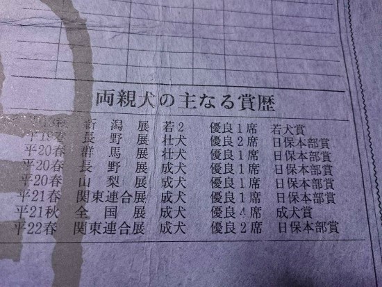 노아카 이미지
