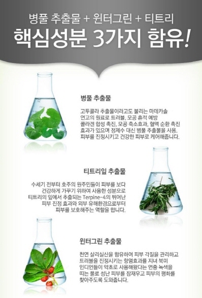애플린 이미지